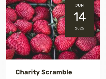 Mobile-Responsive Layout